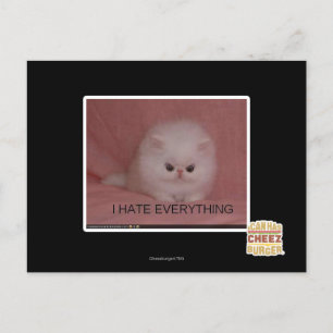 Cartão Postal I hate everything