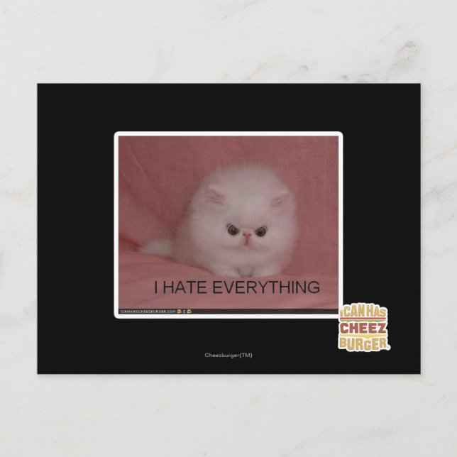 Cartão Postal I hate everything (Frente)