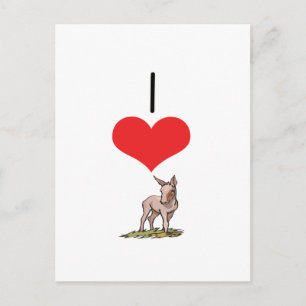 Cartão Postal I Heart (Love) Donkeys