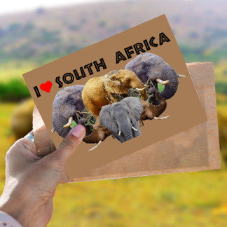 Cartão Postal I Heart South Africa Elephant Emblem