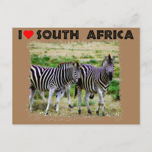 Cartão Postal I Heart South Africa jovem par zebra