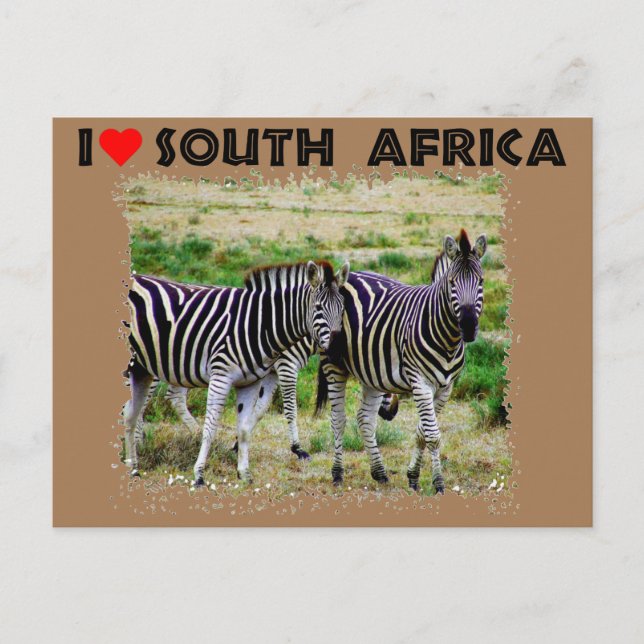 Cartão Postal I Heart South Africa jovem par zebra (Frente)