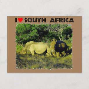 Cartão Postal I Heart South Africa Rhino Casal
