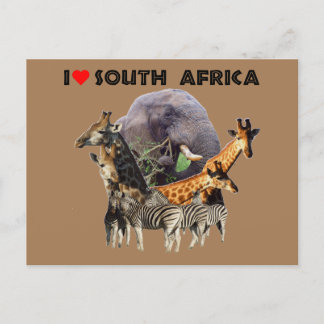 Cartão Postal I Heart South Africa Wildlife Collage