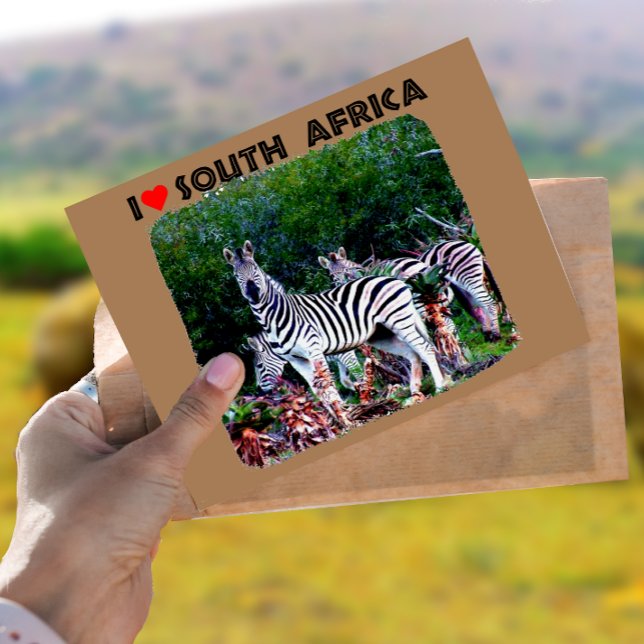 Cartão Postal I Heart South Africa Zebra Aloe (Criador carregado)