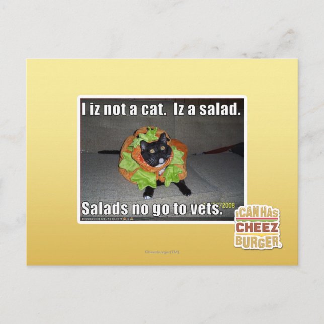 Cartão Postal I iz not a cat. Iz a salad. (Frente)