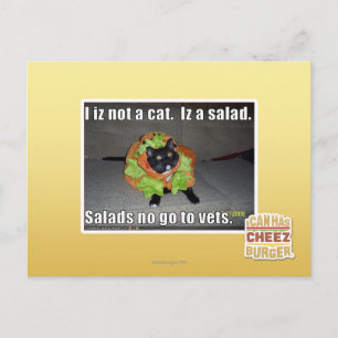 Cartão Postal I iz not a cat. Iz a salad.