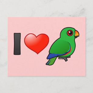 Cartão Postal I Love Eclectus Parrots (masculino)