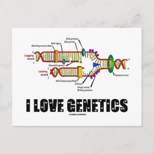 Cartão Postal I Love Genetics (Replicação de DNA)