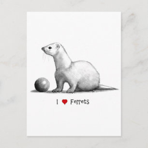 Cartão Postal I Love (Heart) Ferret: Desenho de Lápis