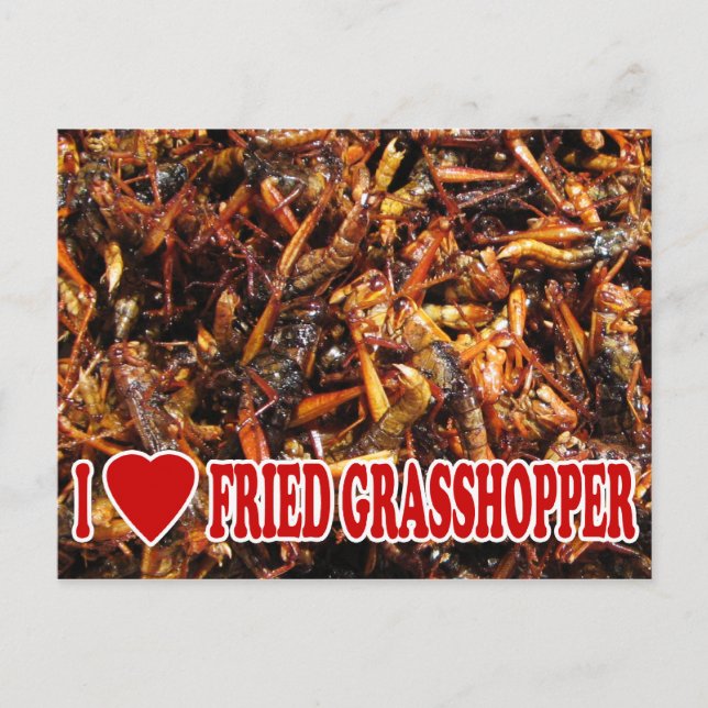 Cartão Postal I Love (Heart Fried Grafopper) (Frente)
