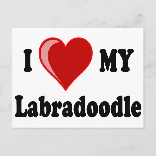 Cartão Postal I Love (Heart) My Labradoodle Dog (Frente)