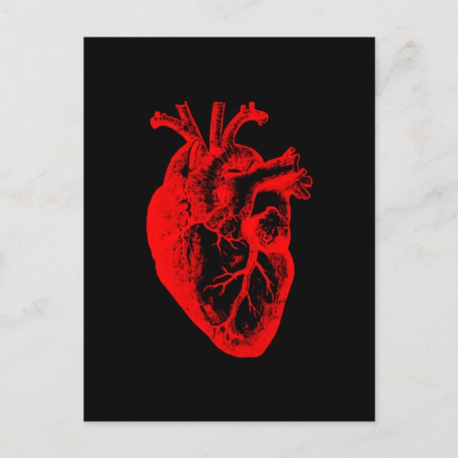Cartão Postal I love / I heart heart anatomy (Frente)