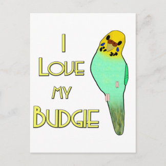 Cartão Postal I Love My Budgie