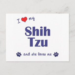 Cartão Postal I Love My Shih Tzu (Cães Femininas)