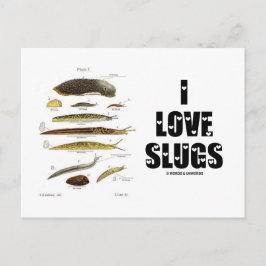 Cartão Postal I Love Slugs (Naturalista/Natureza)