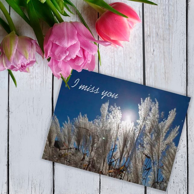 Cartão Postal I miss you Postcard (Criador carregado)