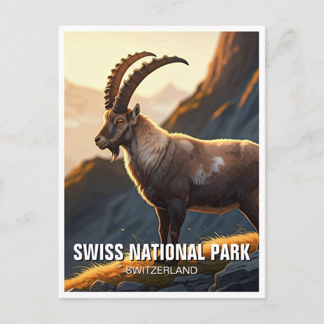 Cartão Postal Ibex na Suiça do Parque Nacional Suíço (Frente)