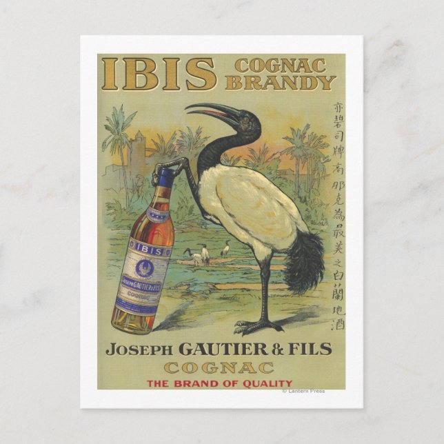 Cartão Postal Ibis Cognac - Joseph Gautier e Fils Promo (Frente)