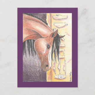 Cartão postal "Ibn Denah"