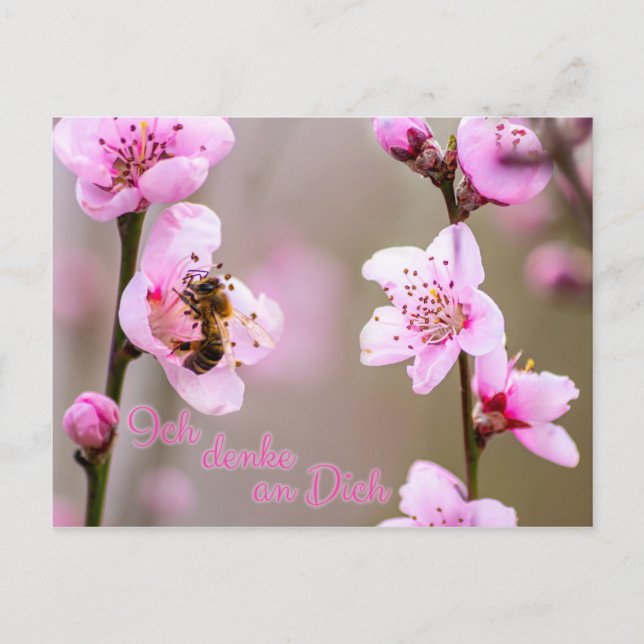 Cartão Postal Ich denke um Dich! (Frente)