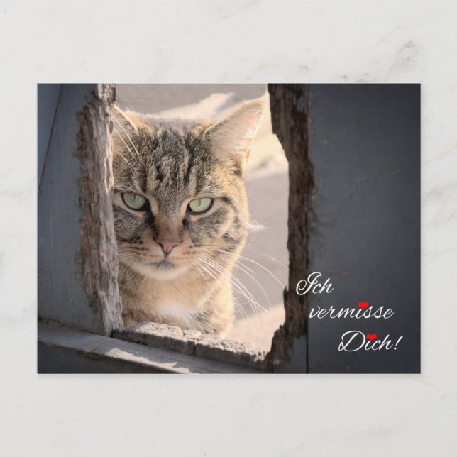 Cartão Postal Ich vermisso Dich! (Frente)