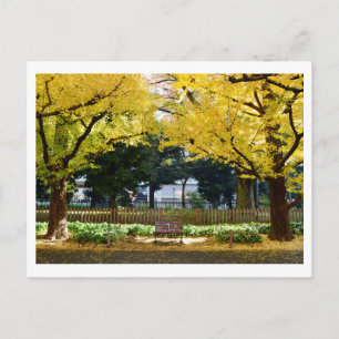Cartão Postal Icho Namiki (Avenida Ginkgo): Tóquio, Japão