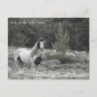 Cartão Postal Ícone do Oeste Selvagem - Cartão-postal