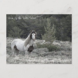 Cartão Postal Ícone do Oeste Selvagem - Cartão-postal
