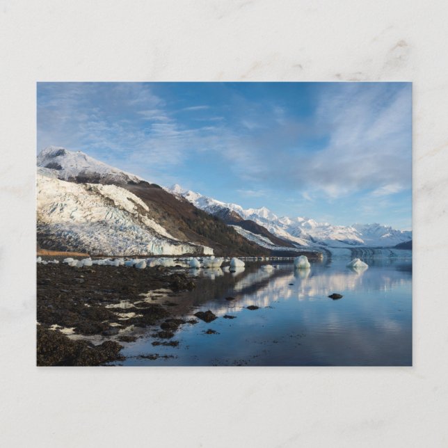 Cartão Postal Icy College Fjord (Frente)