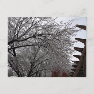 Cartão Postal Icy Delmar Loop