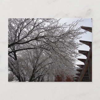 Cartão Postal Icy Delmar Loop