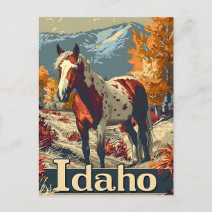Cartão Postal Idaho Appaloosa