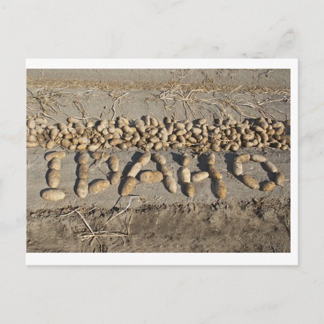 Cartão Postal Idaho Batatas (Frente)