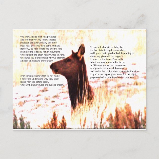 Cartão Postal idaho não é só batatas (Frente)