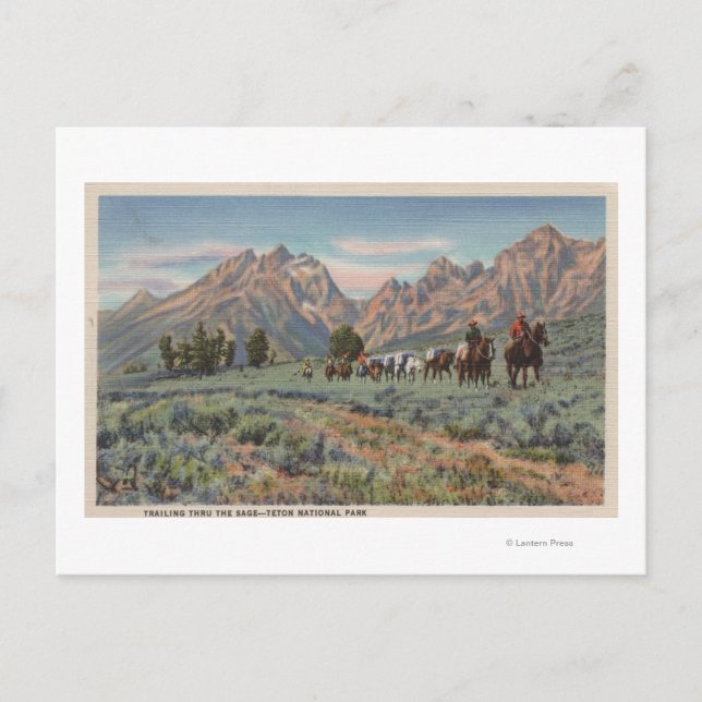 Cartão Postal Idaho - Visão de Homens em Horseback em Teton Mts. (Frente)