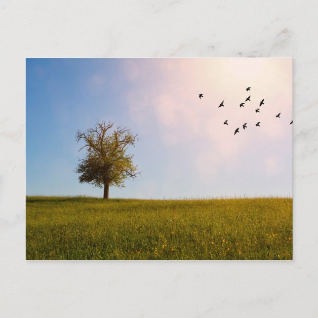 Cartão Postal Idílio campestre (Frente)