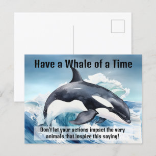 Cartão Postal Idioma Dinâmico "Ter uma Baleia de Tempo" com Orca
