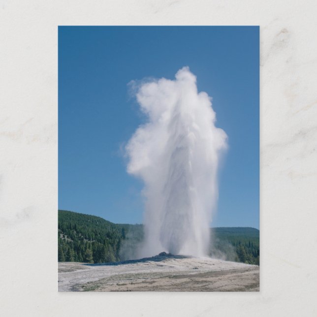 Cartão Postal Idoso Êxito em Iellowstone (Frente)