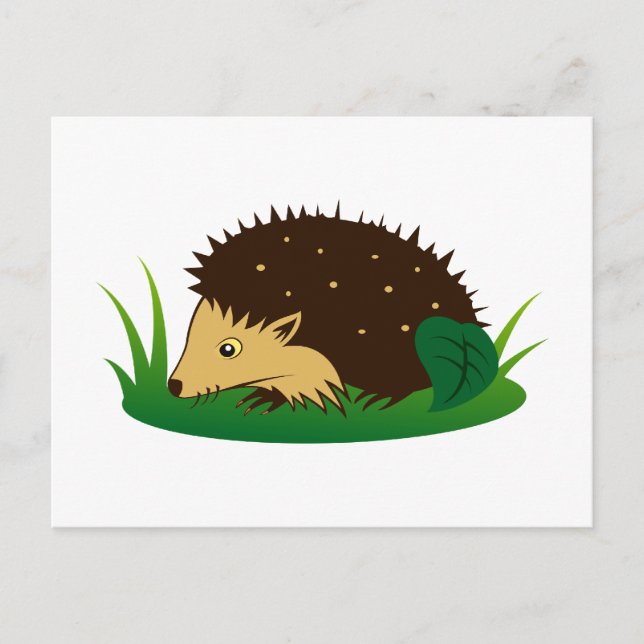 Cartão Postal Igel hedgehog (Frente)