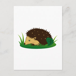 Cartão Postal Igel hedgehog