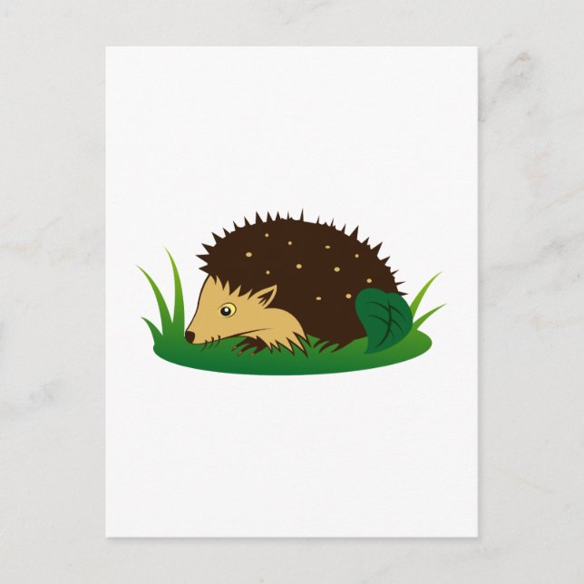 Cartão Postal Igel hedgehog (Frente)