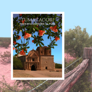 Cartão Postal Igreja da Missão Tumacacori, Blossomas Pomegranato