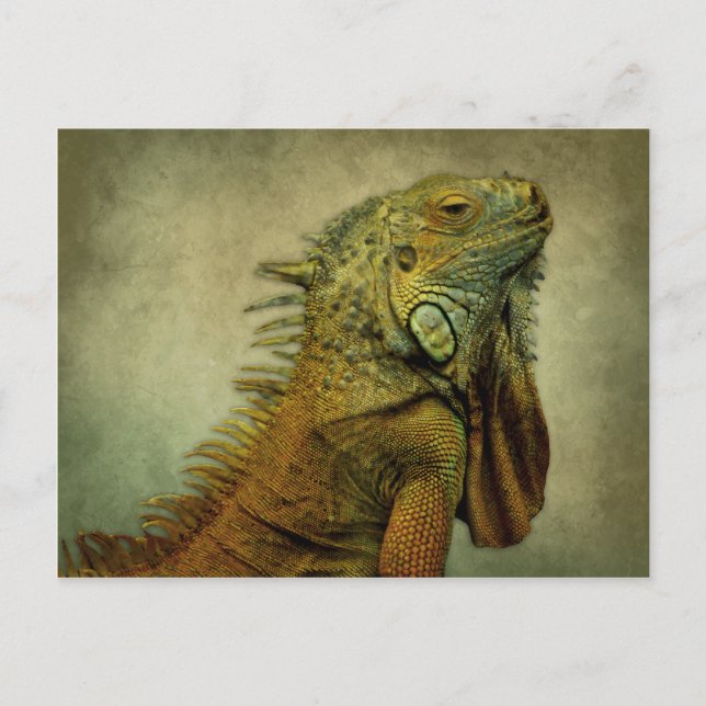 Cartão Postal Iguana Verde (Frente)