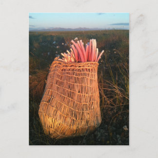 Cartão Postal iitaat