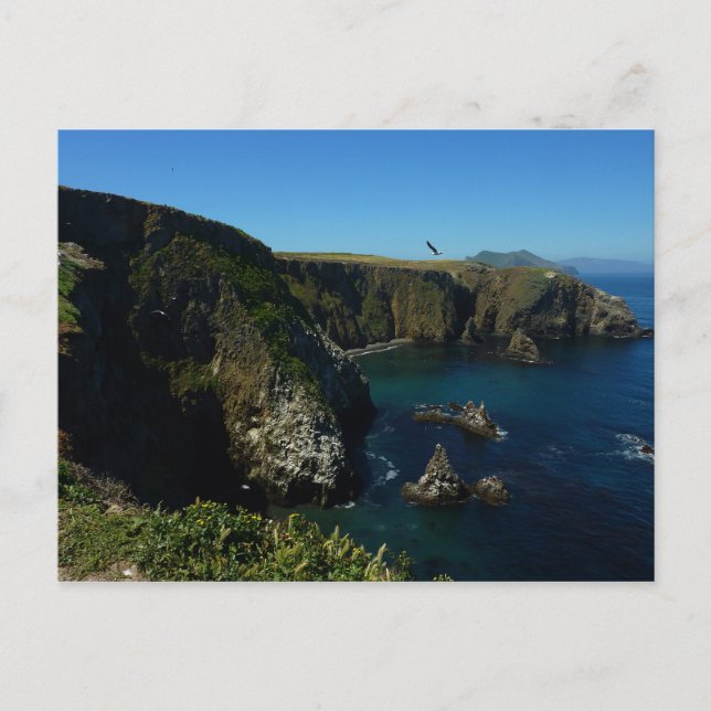 Cartão Postal Ilha Anacapa no Parque Nacional das Ilhas do Canal (Frente)