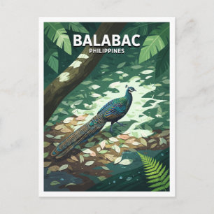 Cartão Postal Ilha Balabac Floresta Interior Viagem Filipinas