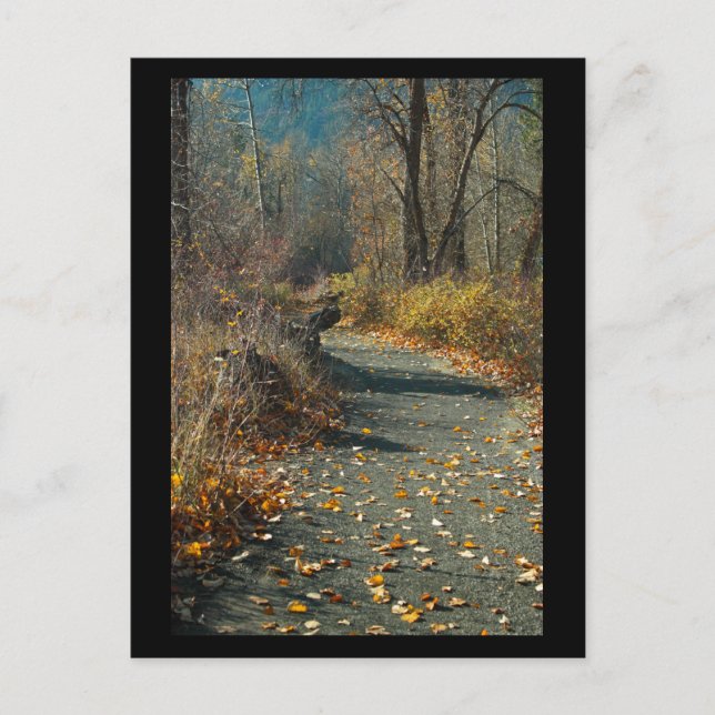 Cartão Postal Ilha Blackbird, Leavenworth WA Mini Impressão (Frente)