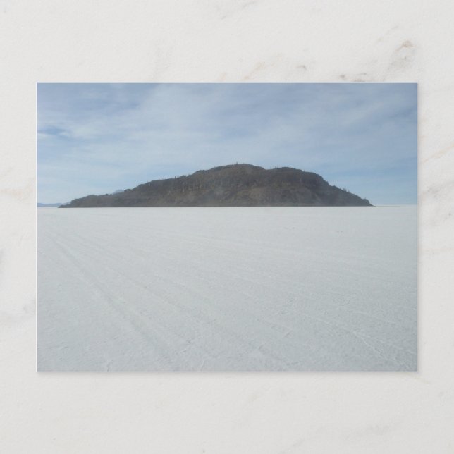 Cartão Postal Ilha Cactus (Frente)