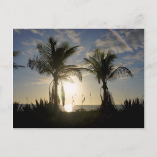 Cartão Postal Ilha Captiva